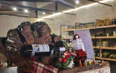 Wycieczka jednodniowa, Wycieczka Szlakiem Cypryjskich Winnic - Sterna Winiarnia