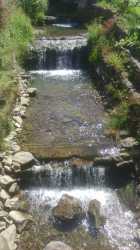 Obóz młodzieżowy, WAKACYJNY HIT !!! Z wyjazdem do Energylandii, wycieczkami do Wiednia, na Słowację i do aquaparków. Ośrodek z basenem letnim. Kolonia 7-13 lat, obóz 14-18 lat.(DW Lidia)